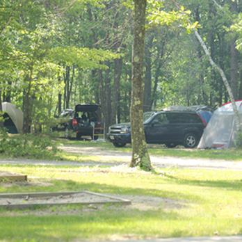 Yankeeland Campground - Tenting and Pop-up Sites - Campgrounds Near Me - Kennebunk, Maine Yankeeland Campground - Tenting and Pop-up Sites - Campgrounds Near Me - Kennebunk, Maine