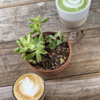 Warbler Coffee - Matcha Latte and Cortado - Coffee & Tea Near Me - Brownsville, Texas Warbler Coffee - Matcha Latte and Cortado - Coffee & Tea Near Me - Brownsville, Texas