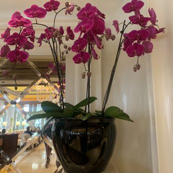 Tableau - Breakfast & Brunch Near Me - Las Vegas, Nevada