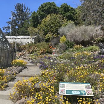UC Botanical Garden at Berkeley - Botanical Gardens Near Me - Berkeley, California