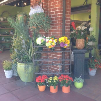 Adelaide's - front entrance display, adelaide's flowers - Florists Near Me - La Jolla, California