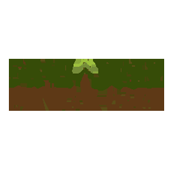 Pine Tree Dental Care