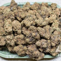 The Grow Room Dispensary