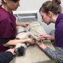 Photo of Four Paws Veterinary Center