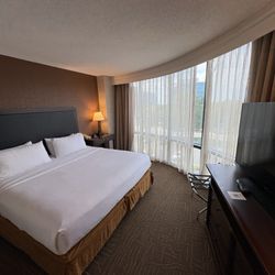 Embassy Suites by Hilton Lexington Green - Bedroom - Corner room