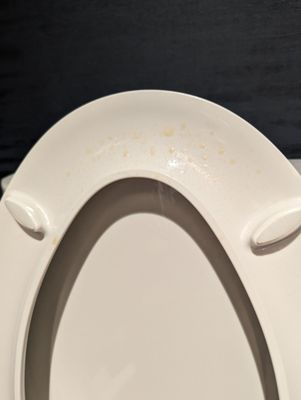 Northern Quest Resort & Casino by null