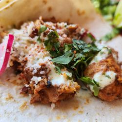 SouthBound - Pollo Adobo Taco