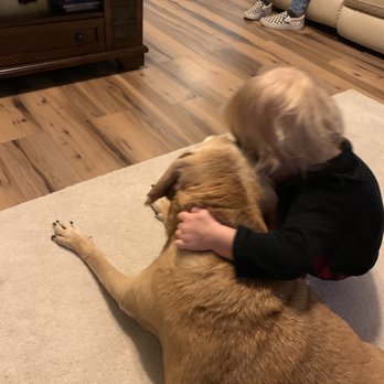 Lyon County Animal services - Charlotte and grandchild watching TV - Animal Shelters Near Me - Silver Springs, Nevada Lyon County Animal services - Charlotte and grandchild watching TV - Animal Shelters Near Me - Silver Springs, Nevada