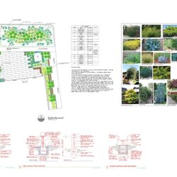 Evolve Exteriors Landscape Design & Installation - Sample Landscape Plan drafted in AutoCAD