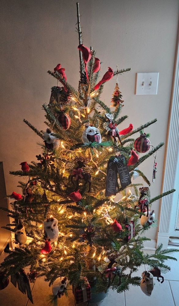 Snowflake Village Christmas Trees - social services organization in Charlotte, NC