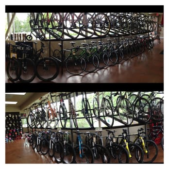 Team Cycle - Bike Repair/Maintenance Near Me - Cameron Park, California