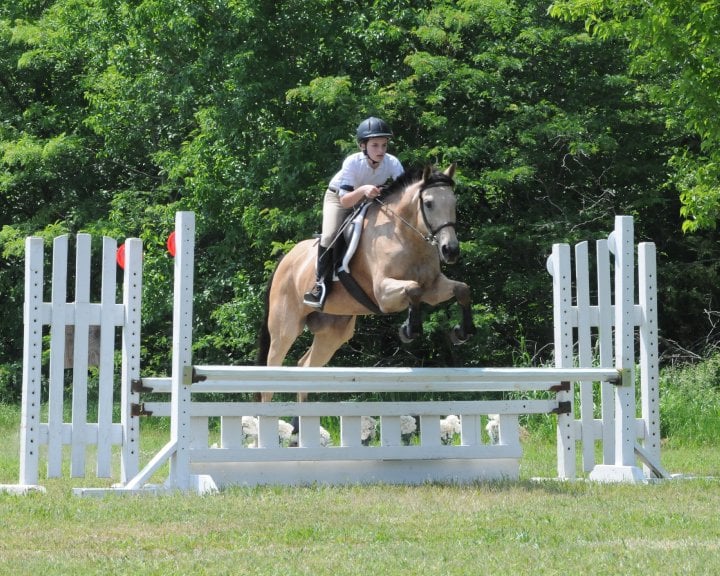 High Horse Stables - equestrian in Manhattan, KS