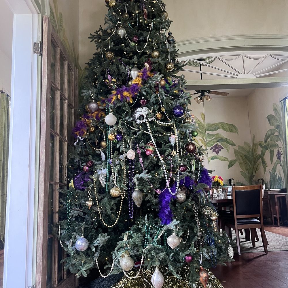 Auld Sweet Olive Bed and Breakfast - Mardi Gras tree! - Bed & Breakfast Near Me - New Orleans, Louisiana Auld Sweet Olive Bed and Breakfast - Mardi Gras tree! - Bed & Breakfast Near Me - New Orleans, Louisiana