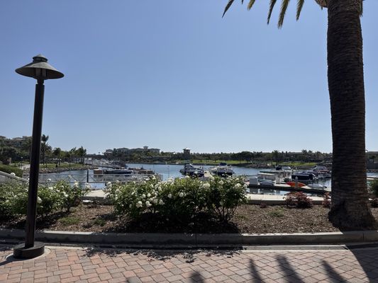 Fishermen's Catch by null