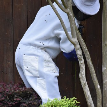Armor Pest Control - Pest Control Near Me Armor Pest Control - Pest Control Near Me