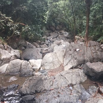 El Yunque Rainforest - Overlooking the waterfall - Hiking Near Me - Luquillo, Puerto Rico