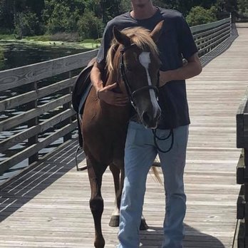 Lone Palm Stables - Horseback Riding Near Me - Brooksville, Florida