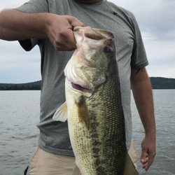 Donald Johnson Fishing - Lake Guntersville