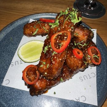 Cactus Club Cafe - Cocktail Bars Near Me - Boston, Massachusetts