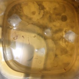 Unknown substances in Unsweet Tea Unknown substances in Unsweet Tea
