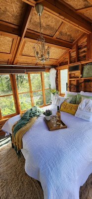 Savannah's Meadow by null