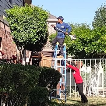 Walmer H Tree Service - Tree Services Near Me