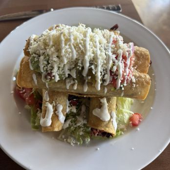 Primo Cantina - Rolled tacos best ever! - Mexican Near Me - Shelby Township, Michigan Primo Cantina - Rolled tacos best ever! - Mexican Near Me - Shelby Township, Michigan