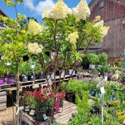 Spangler's Landscaping & Garden Center