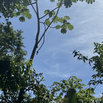 Costa Rica Experts - Tours Near Me - Chicago, Illinois Costa Rica Experts - Tours Near Me - Chicago, Illinois