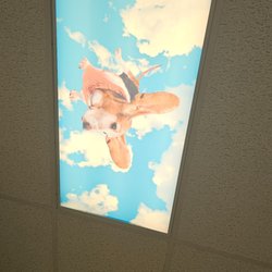 Hill Country Memorial Hospital - Adorable ceiling pic!