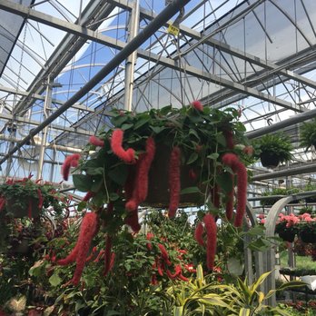 Meadow Acres Garden Centre - Home Decor Near Me - Petersburg, Ontario