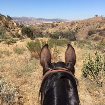 Horseshoe Ranch - Horse Boarding Near Me - Redlands, California Horseshoe Ranch - Horse Boarding Near Me - Redlands, California