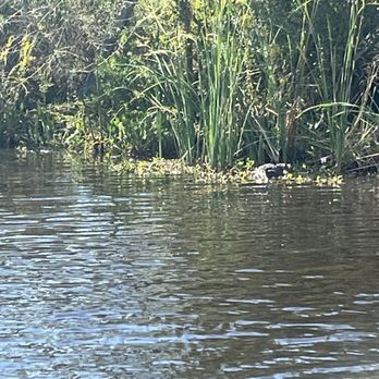Adventures of Jean Lafitte - Boat Tours Near Me - Lafitte, Louisiana Adventures of Jean Lafitte - Boat Tours Near Me - Lafitte, Louisiana