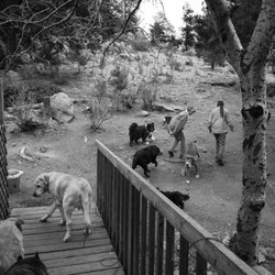 5 Star Pet Services - Laura and I at my senior sancturary. My husband snapped the picture :)-- Elizabeth