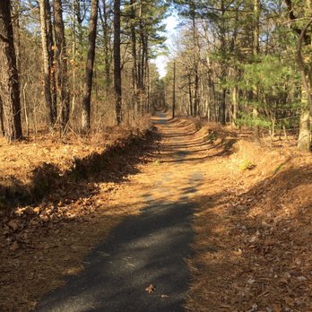 Blueberry Hill Trail - Hiking Near Me - Gibbsboro, New Jersey