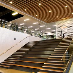 Evolution Fitness - YQR's Grand Staircase!