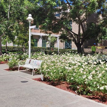 Chapman University - Colleges & Universities Near Me - Orange, California Chapman University - Colleges & Universities Near Me - Orange, California