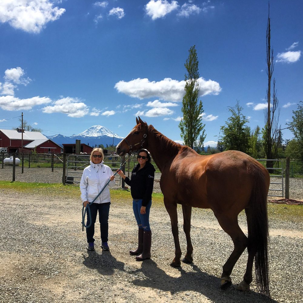 The Back Forte - equestrian in Enumclaw, WA