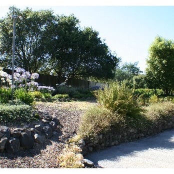 Gill Landscape - Design/Install Job - Landscaping Near Me - Sebastopol, California Gill Landscape - Design/Install Job - Landscaping Near Me - Sebastopol, California