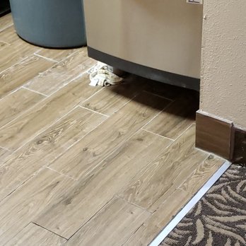 Comfort Suites - Mold covered rag under ice machine - Hotels Near Me - Roswell, New Mexico