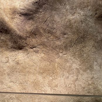 Grotte de Lascaux II - Carving without black light - Landmarks & Historical Buildings Near Me - Montignac, 24