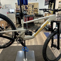 Paradise Bicycles