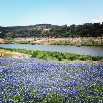 Muleshoe Bend Recreation Area - Parks Near Me - Spicewood, Texas Muleshoe Bend Recreation Area - Parks Near Me - Spicewood, Texas