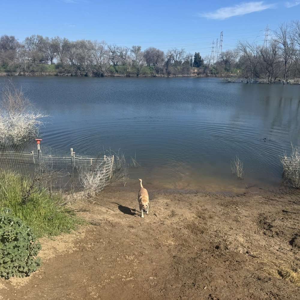 Paradise Beach - Parks Near Me - Sacramento, California