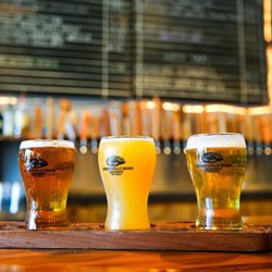 Wrightsville Beach Brewery - A number of solid options -- cheers!