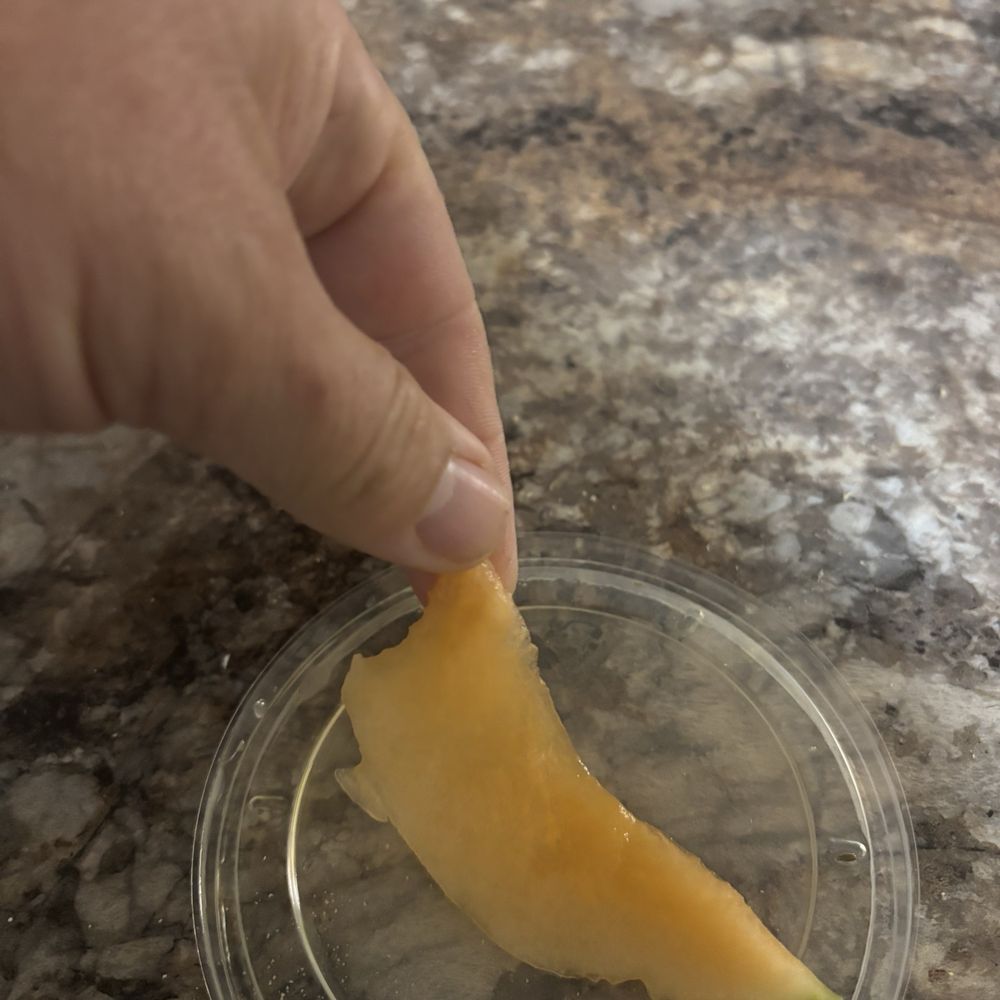 Panera Bread - Cantaloupe - Sandwiches Near Me - Kingsport, Tennessee Panera Bread - Cantaloupe - Sandwiches Near Me - Kingsport, Tennessee