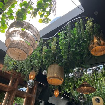The Wild - Gay Bars Near Me - West Hollywood, California The Wild - Gay Bars Near Me - West Hollywood, California