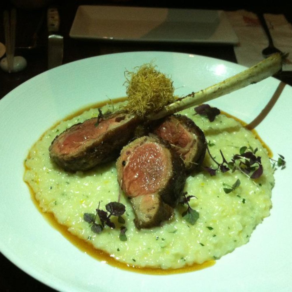 Morimoto Napa - Lamb Chop~ very tender! - Japanese Near Me - Napa, California