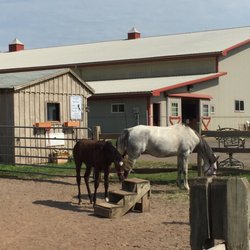Silver Bit & Spur Farm