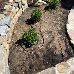 Starboard Side Landscaping